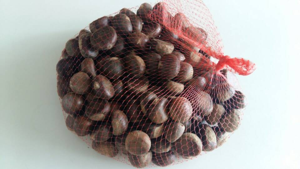 9月食谱合辑——【一星☆食谱】