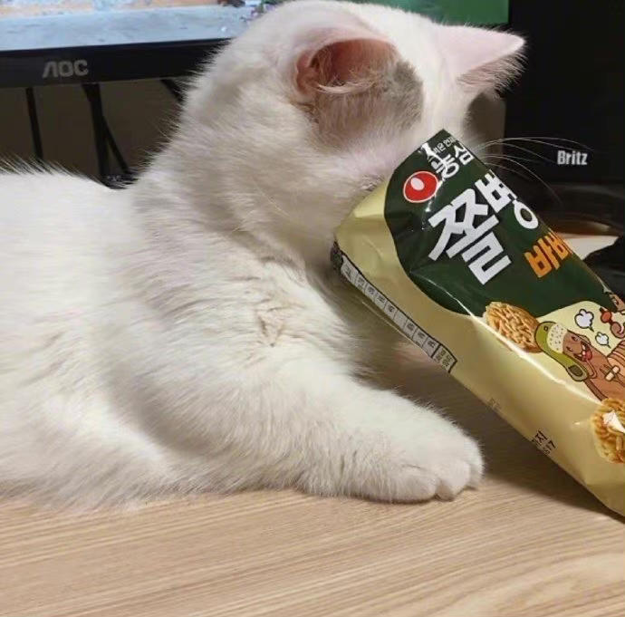 Saltcongee