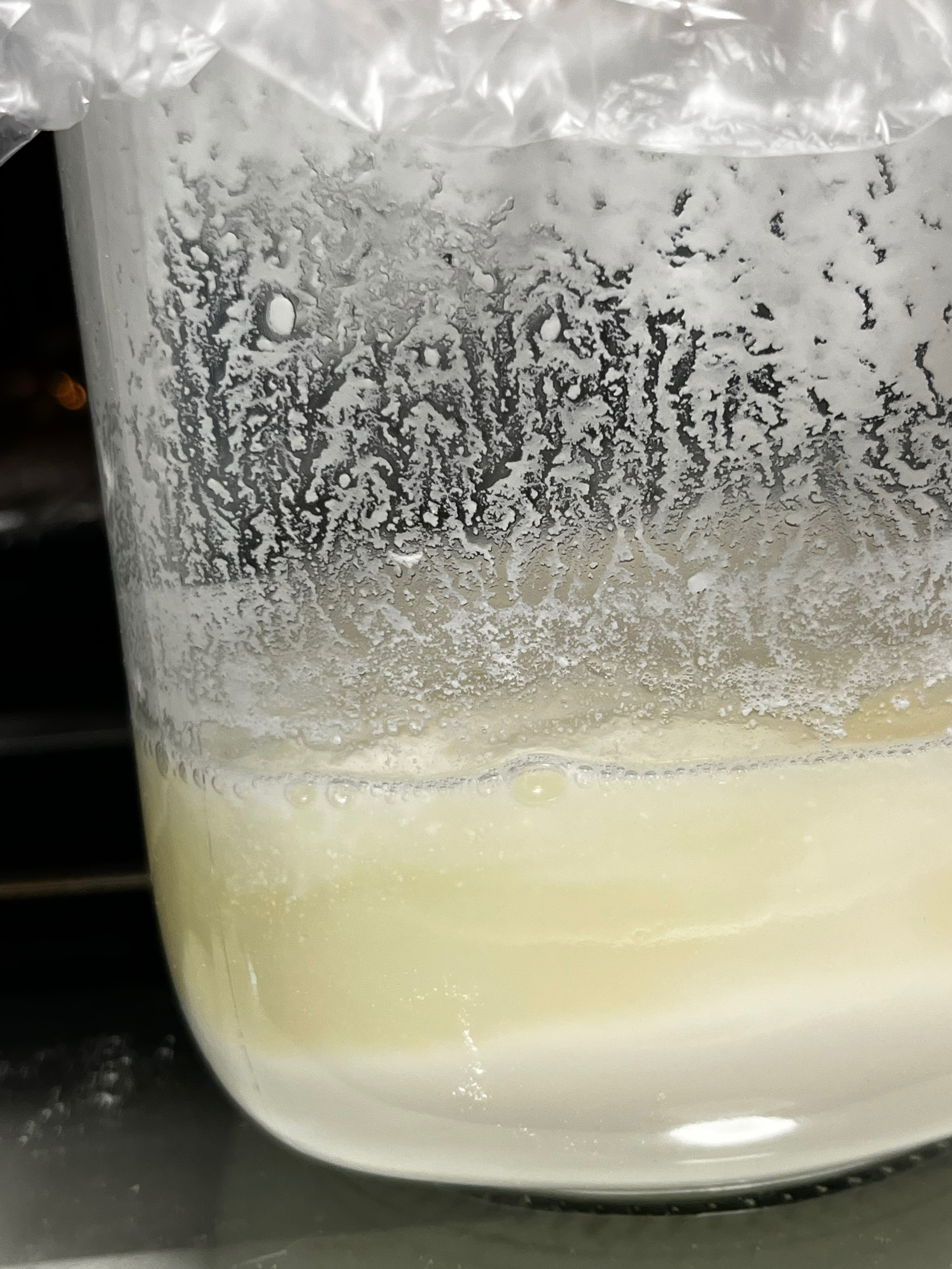 《野生酵母研究室》优格酵母液/酸奶酵液的做法 步骤5