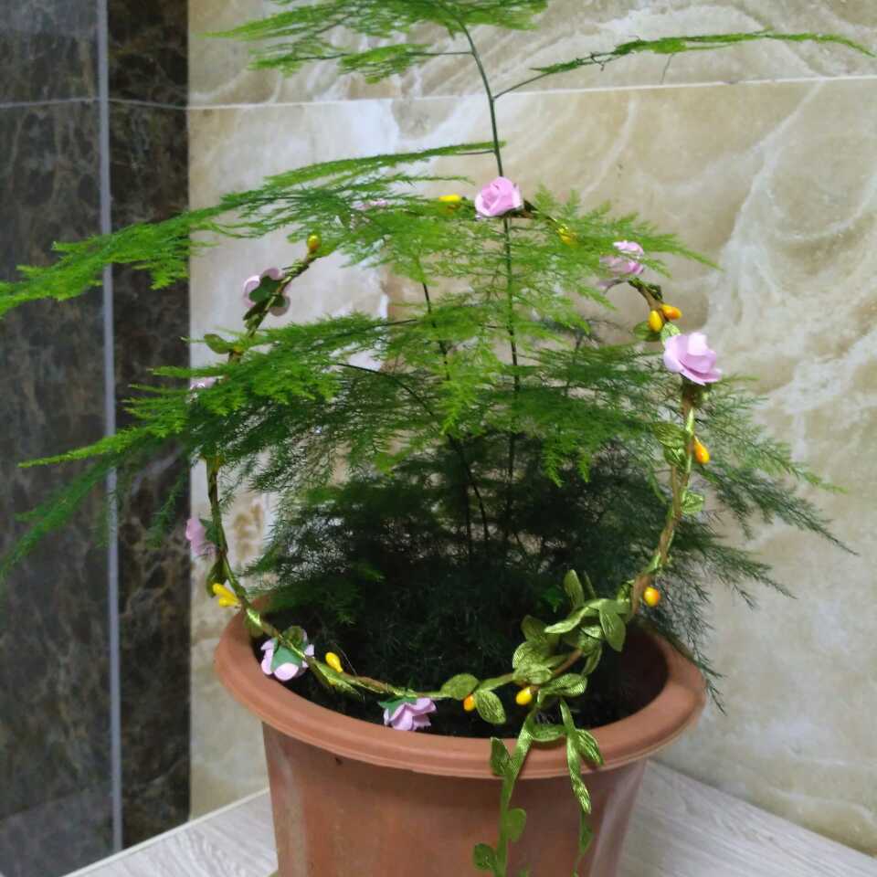 裴玉梅
