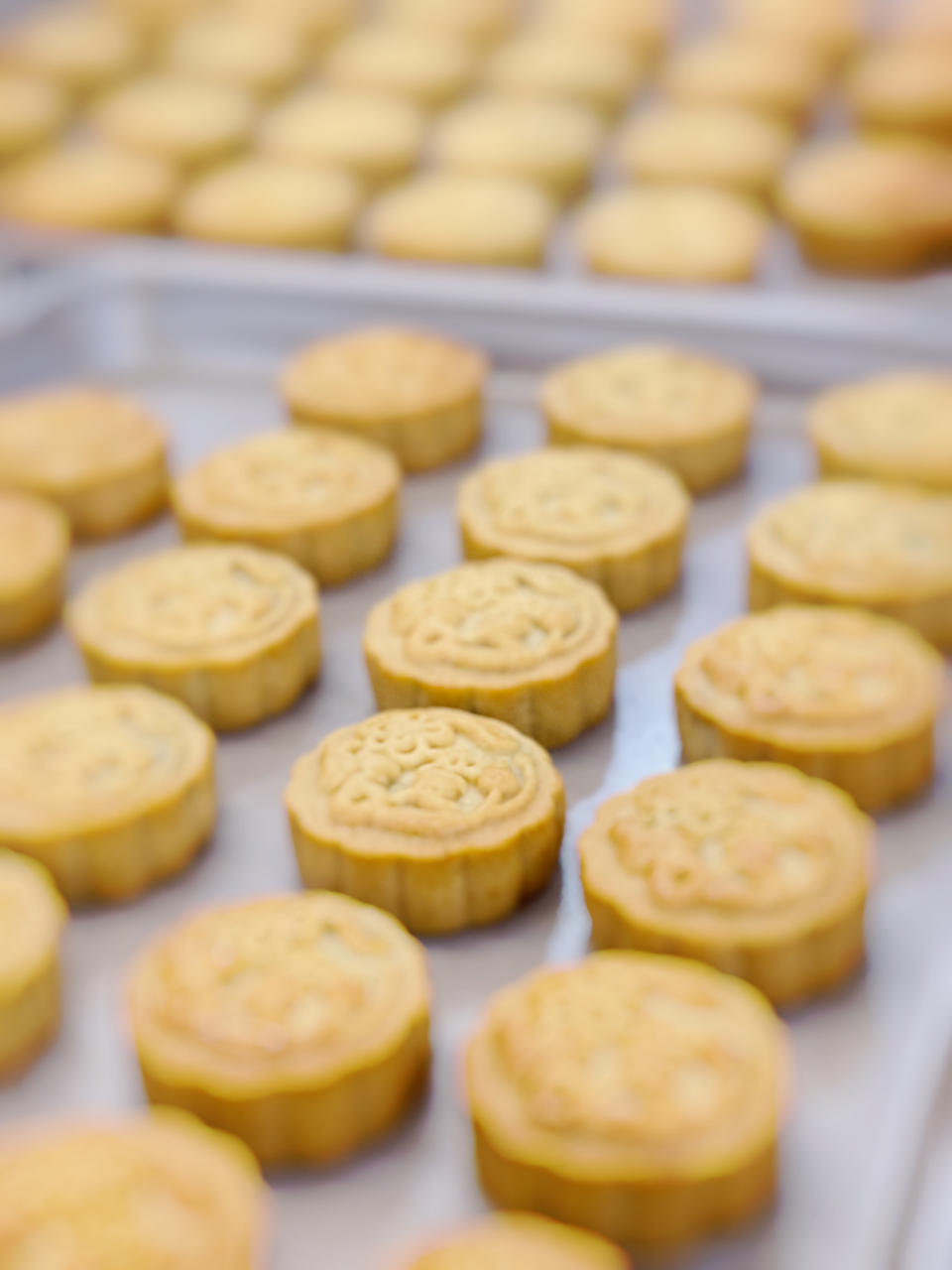 投食集——聪哥的能量美味