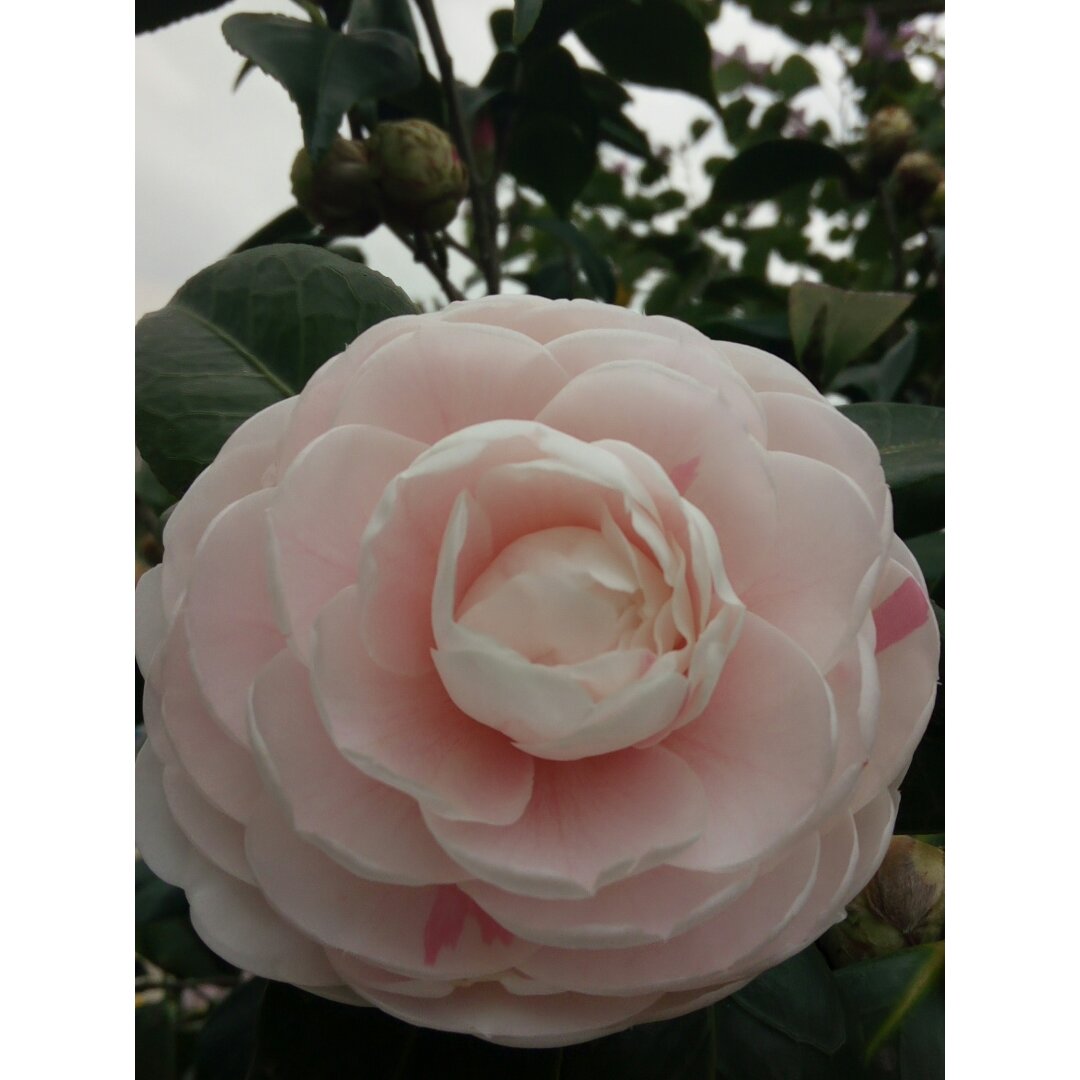 手机用户rainluck的厨房