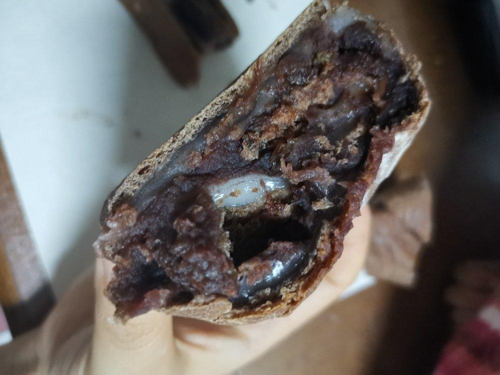 超详细过夜免揉软欧包的骚操作（红豆绿豆麻薯红薯紫薯红枣血糯米紫米黑米肉松马苏里拉坚果葡萄干椰蓉奶黄全麦抹茶可可墨西哥酱面包）   含大于5种馅的做法   2种酥皮做法     低糖少油    你想要的都可以放进去💃🏻