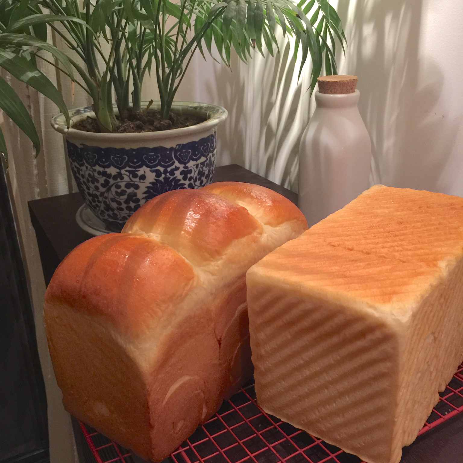 【北海道吐司】体验经典-妃娟100%中种，冷藏冰种的美味