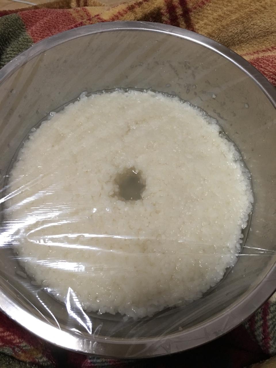 酒酿 (酒酿系列一）