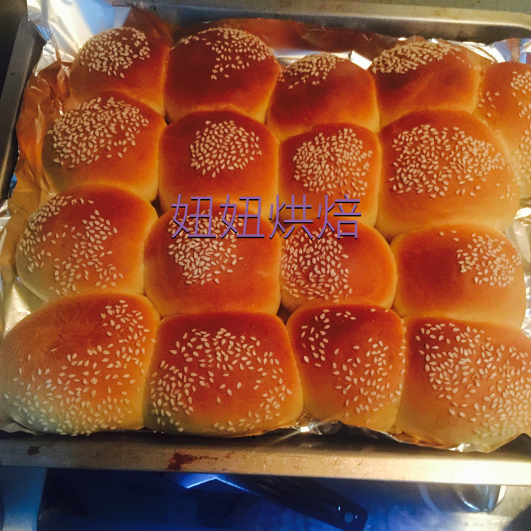 汉堡胚（中种法）