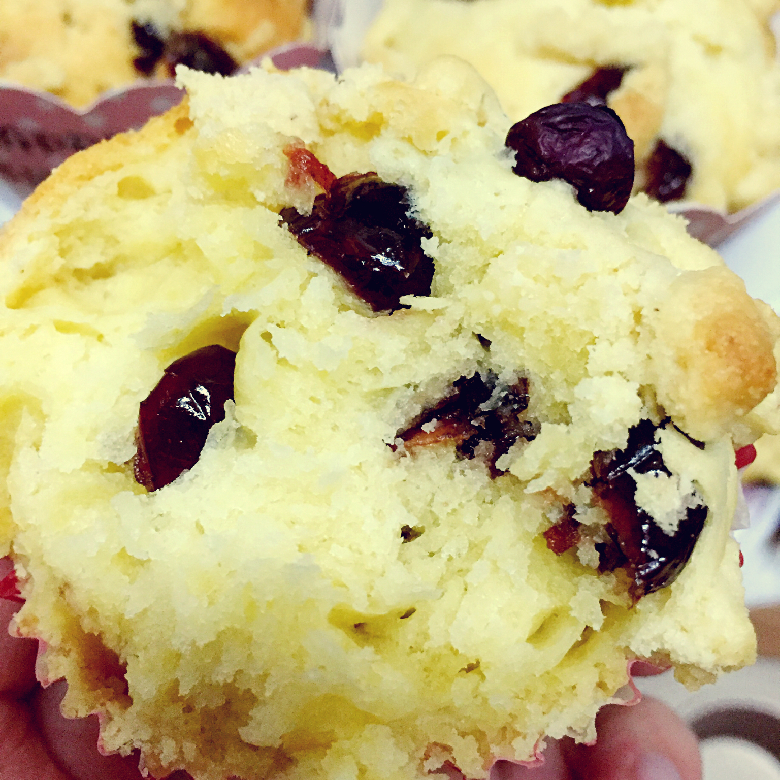 PH大师的金宝顶蓝莓马芬