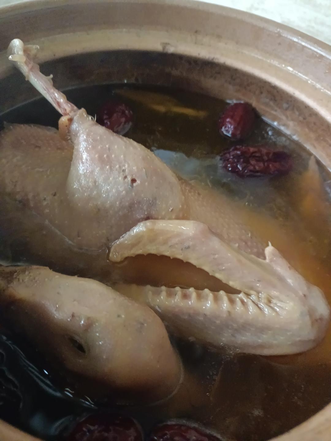 黄芪菌菇砂锅老鸭