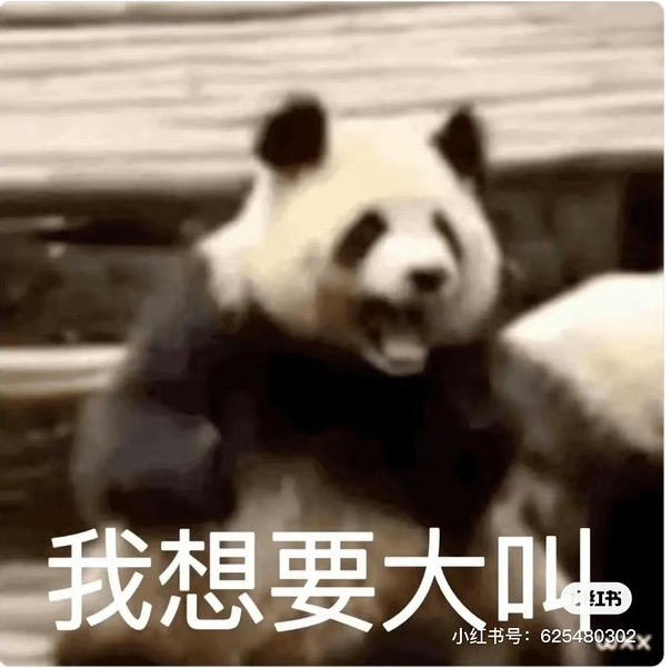 地球不爆炸我炸