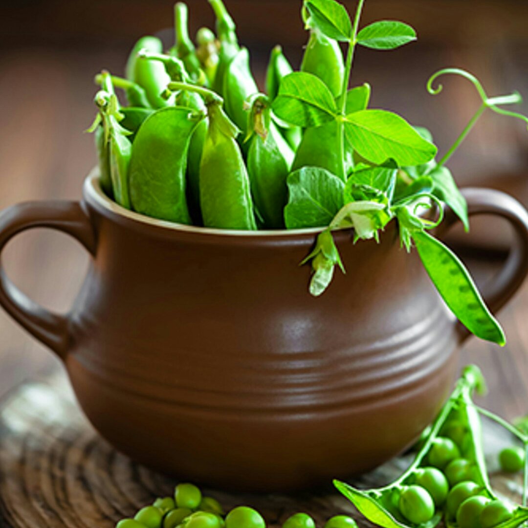 双鱼座的杜小姐的厨房