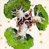 KissingBaobab