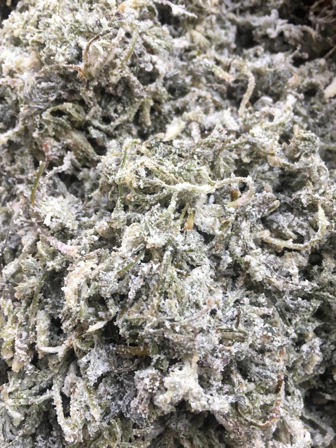 万“菜”皆可“蒸”