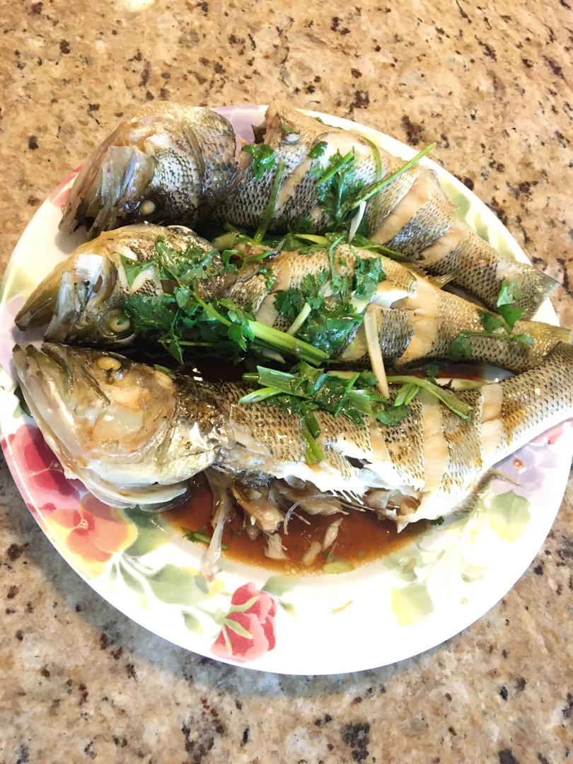 清蒸鱼（鲈鱼/多宝鱼/桂花鱼/石斑鱼……）