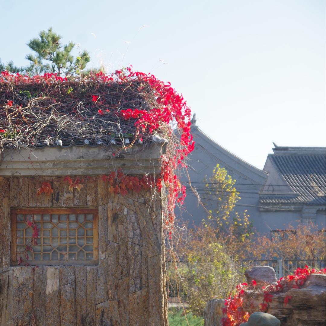 ❀窦言x℡5iwww☂