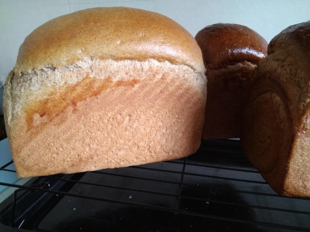 双种芝麻全麦吐司 100%全麦 烫种+波兰种