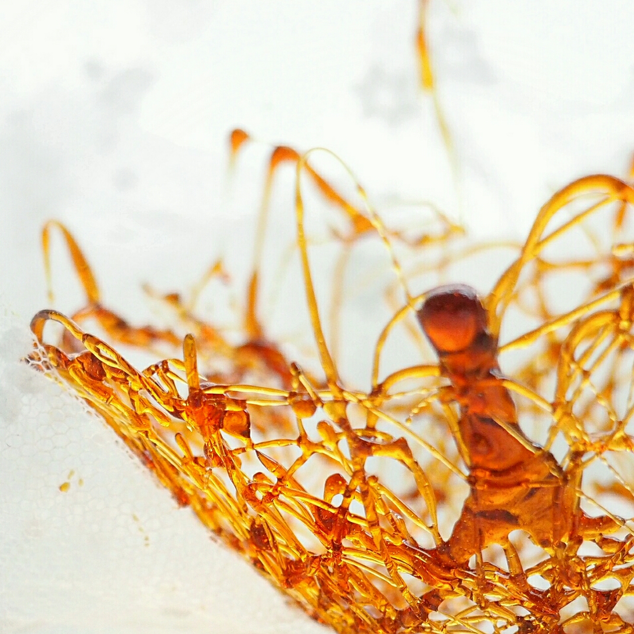 angel做的糖丝碗