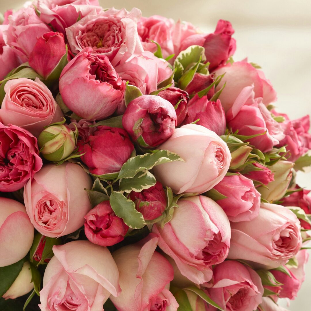 手机用户6335_4hr3