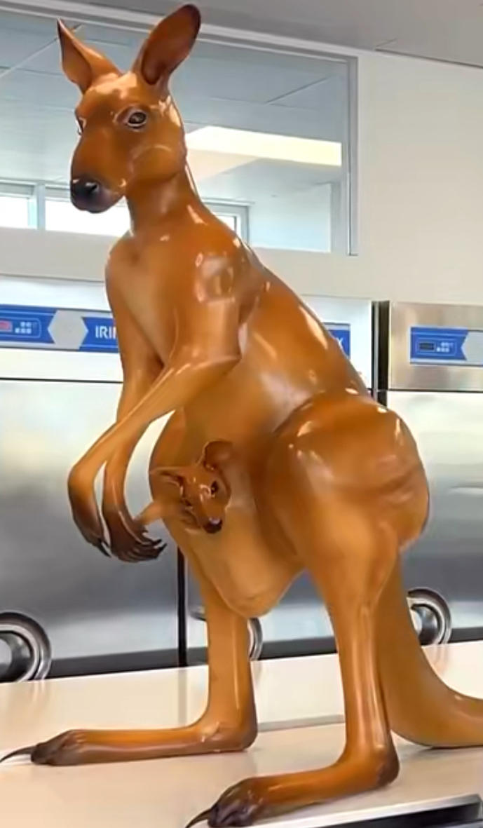 艺术巧克力制作