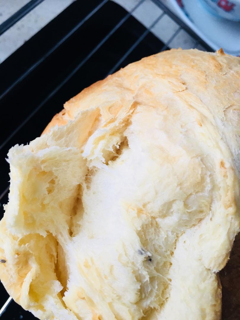 面包机做酸奶吐司