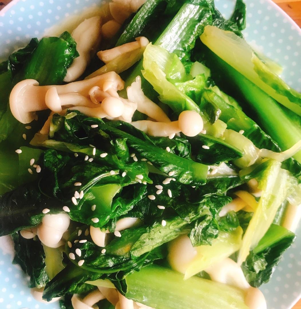 便当、餐食图集