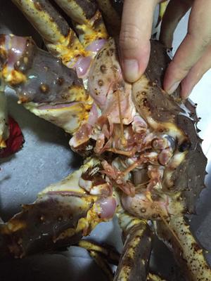 咖喱鲜活阿拉斯加帝王蟹（皇帝蟹/长脚蟹）的做法 步骤2