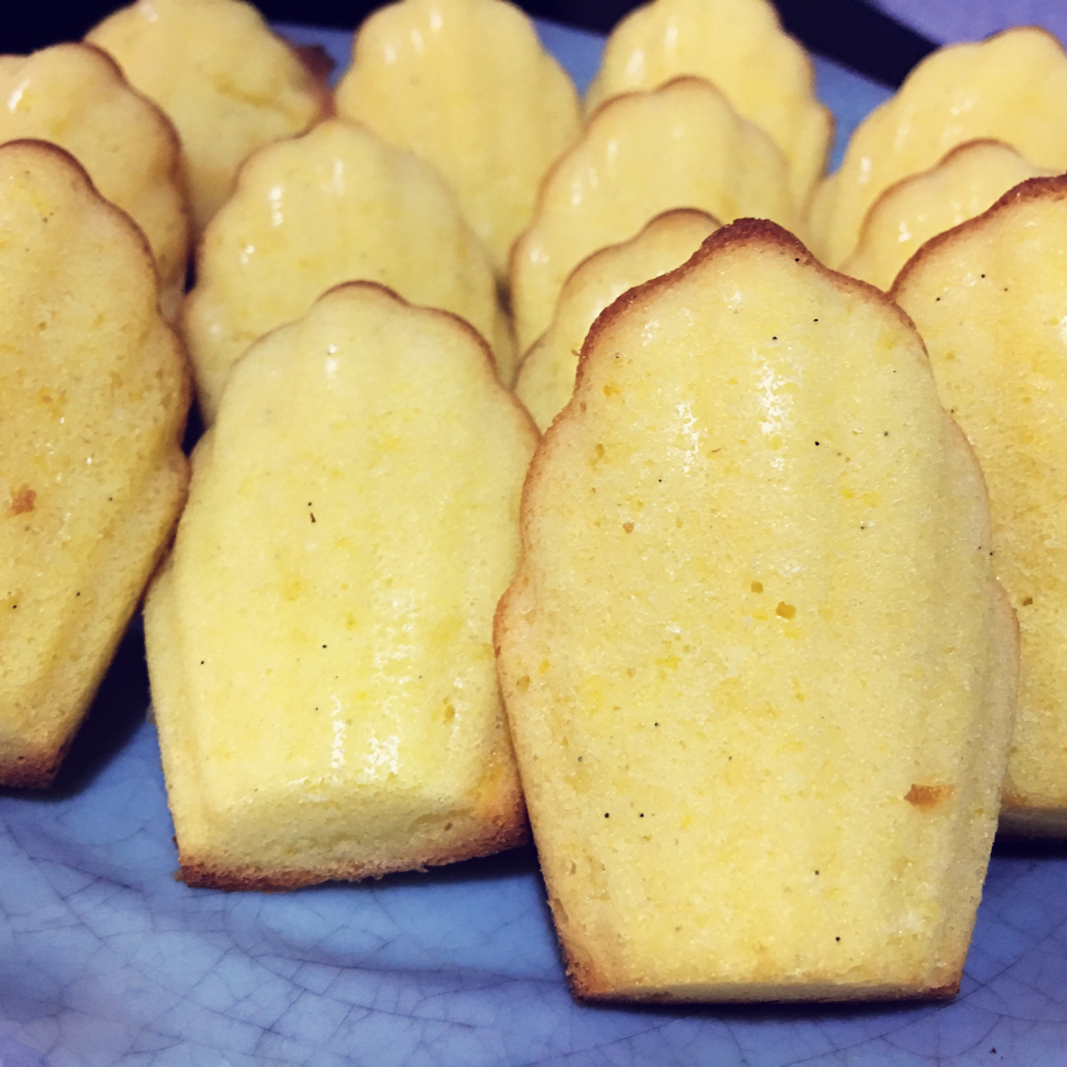 玛德琳（蓝带方）