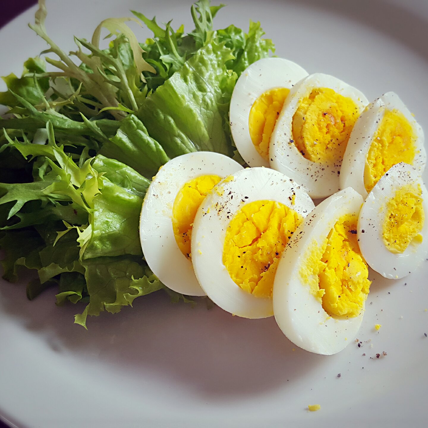 一只椰子jojoji做的煮鸡蛋