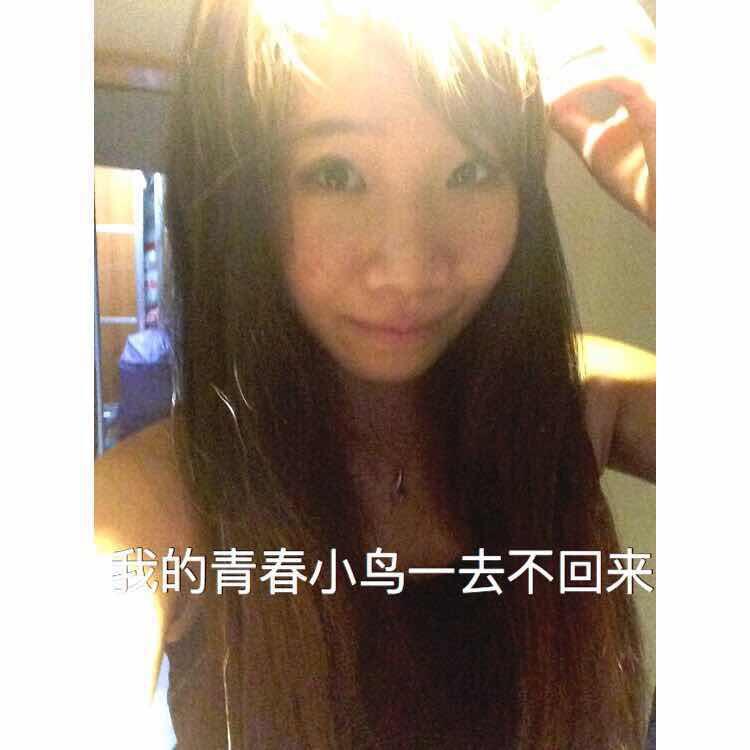 屎提肥寶貝plus