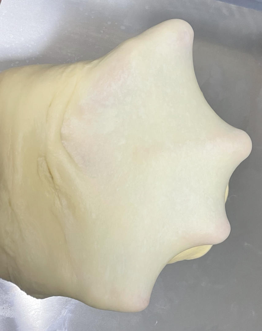 夺命软吐司(๑´ڡ`๑)超软拉丝极速方便的一次发酵吐司