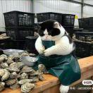 瓜子