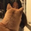 手机用户0191_ydbr