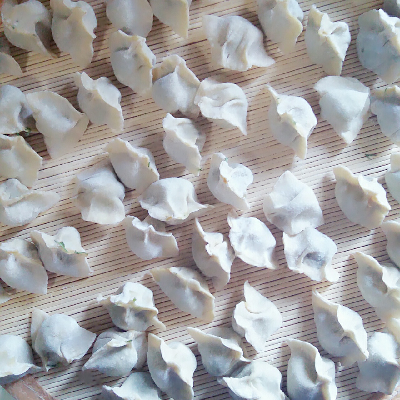 轩辕紫潇做的小茴香馅儿饺子