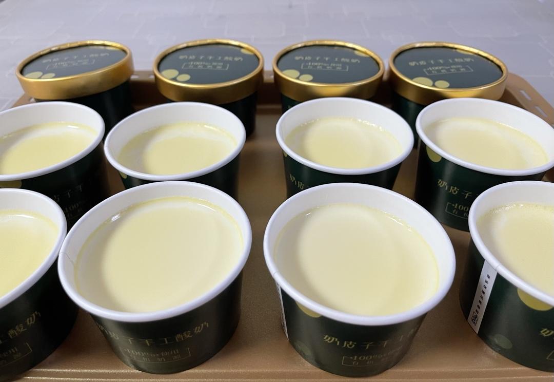 网红奶皮子酸奶（小美版）