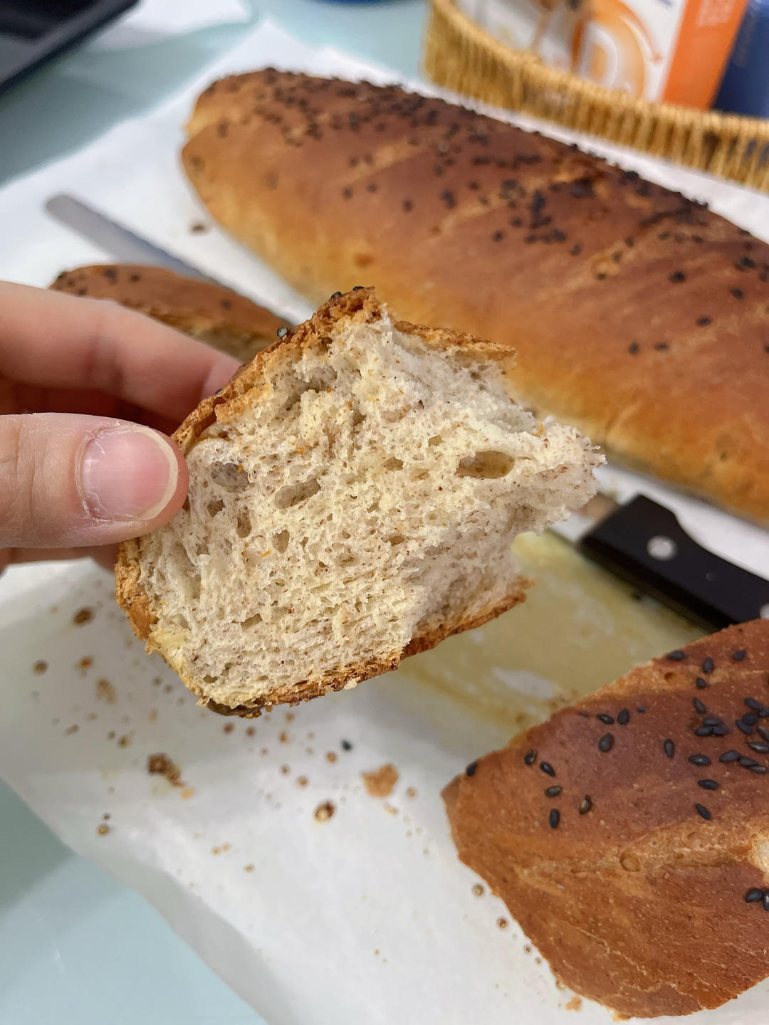 全麦坚果蔓越莓欧包~隔夜发酵