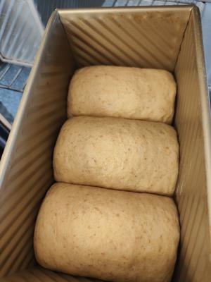 一种面团两种面包的云朵全麦吐司（一）的做法 步骤7