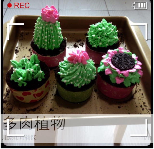 多肉植物仙人球杯子蛋糕（抹茶草莓可可cupcake）