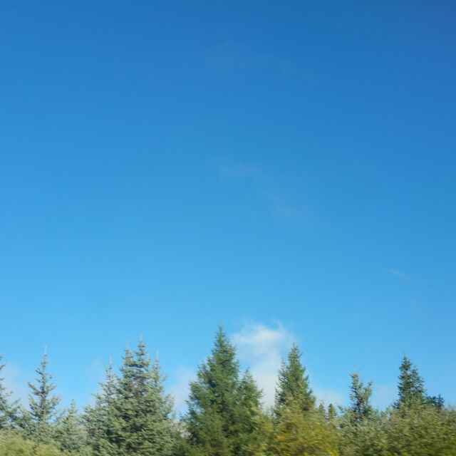 手机用户4443_hbdm