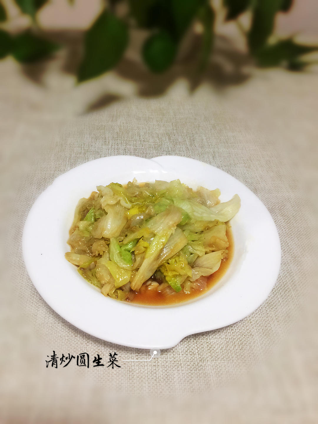 【三个小时十八道菜】之清炒圆生菜