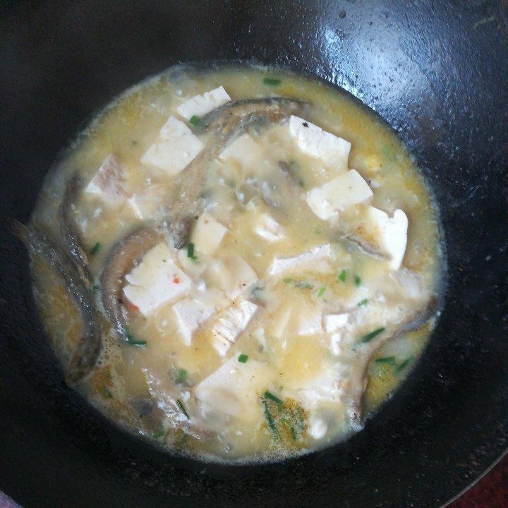 泥鳅炖豆腐（小贴士附杀泥鳅方法）