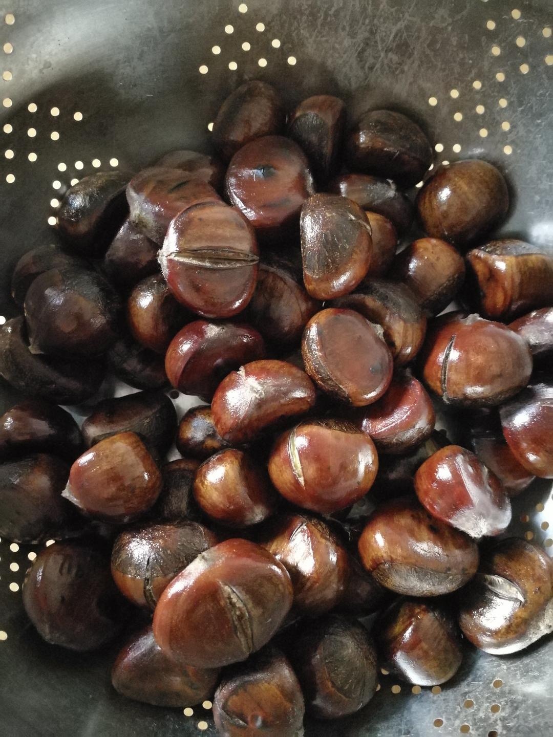 慵懒美丽的栗子