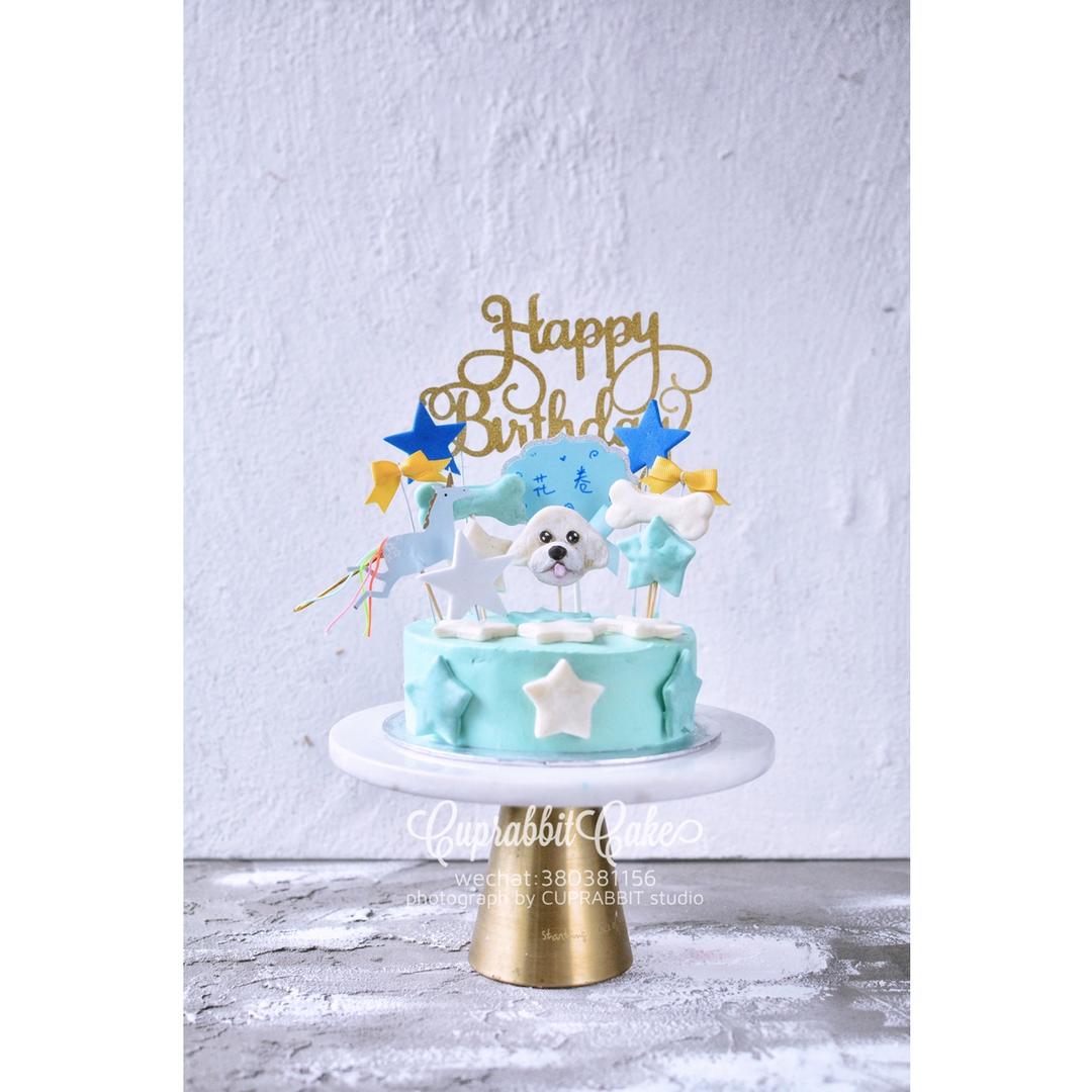 猫猫狗狗宠物蛋糕