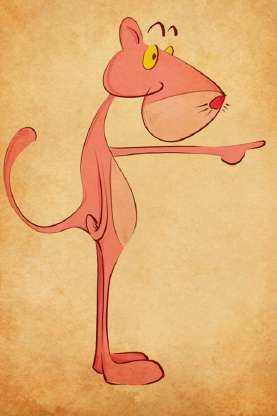 骑着龟种肉的猫