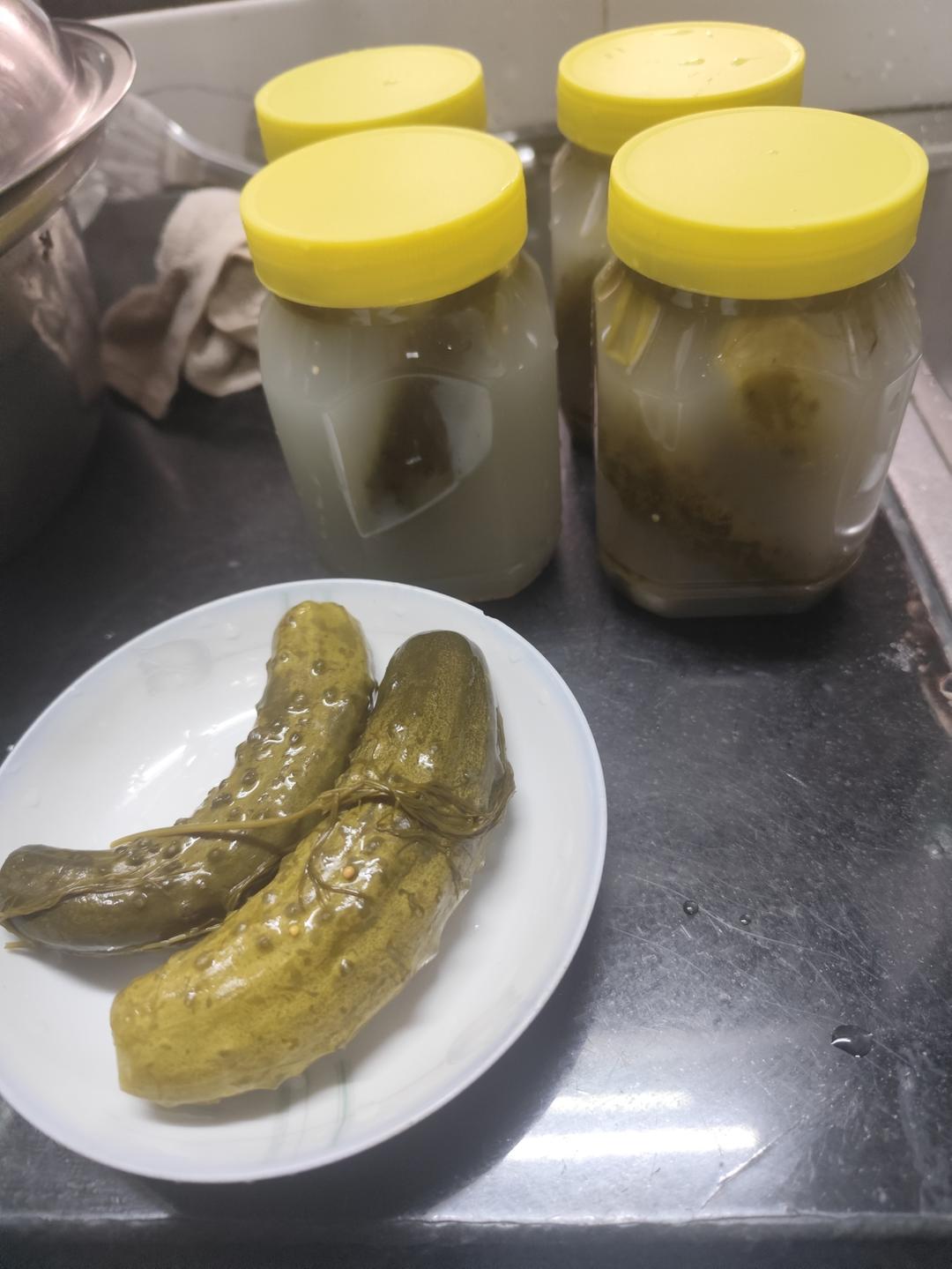 美味的俄式酸黄瓜