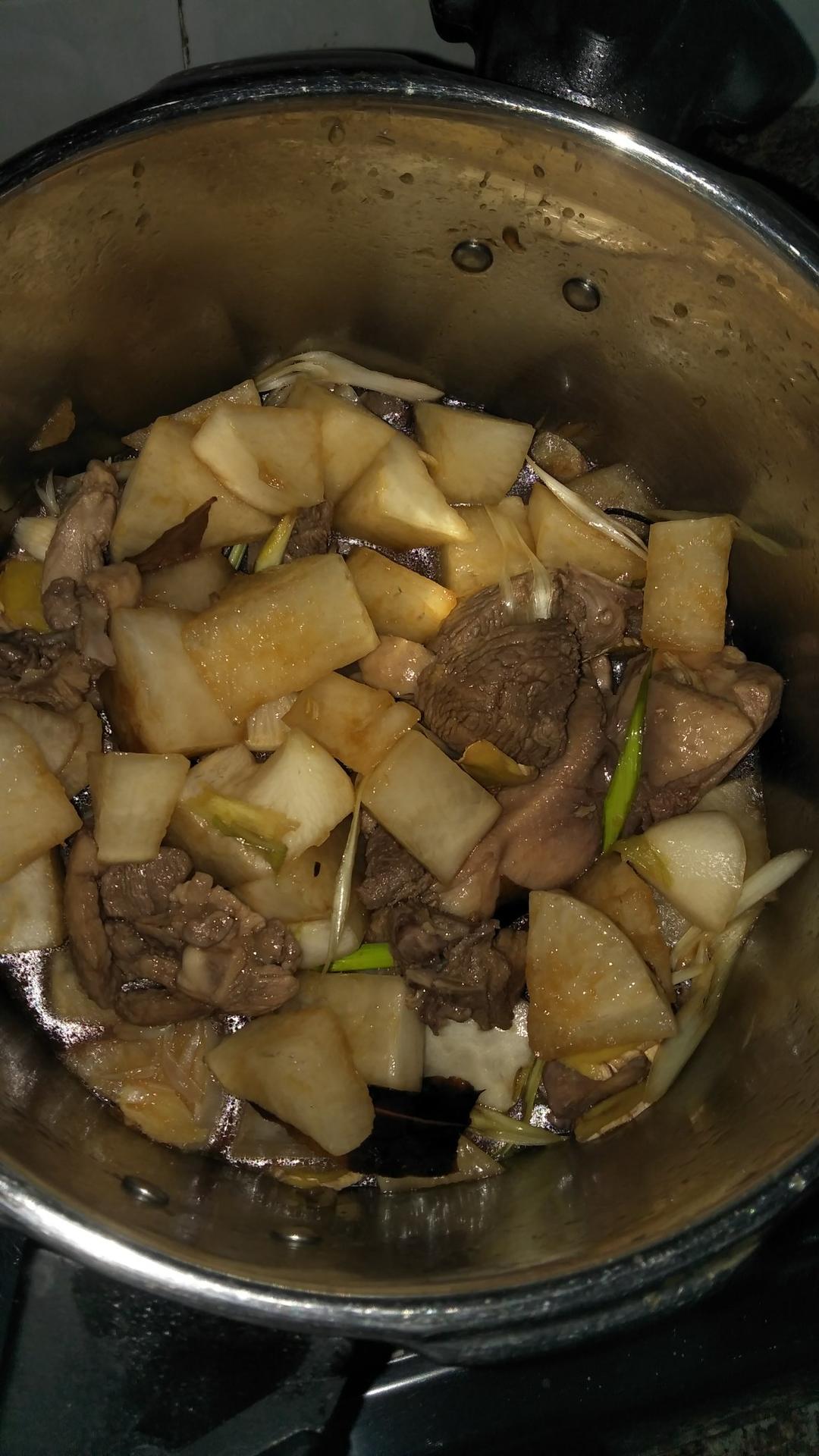 萝卜焖鸭肉