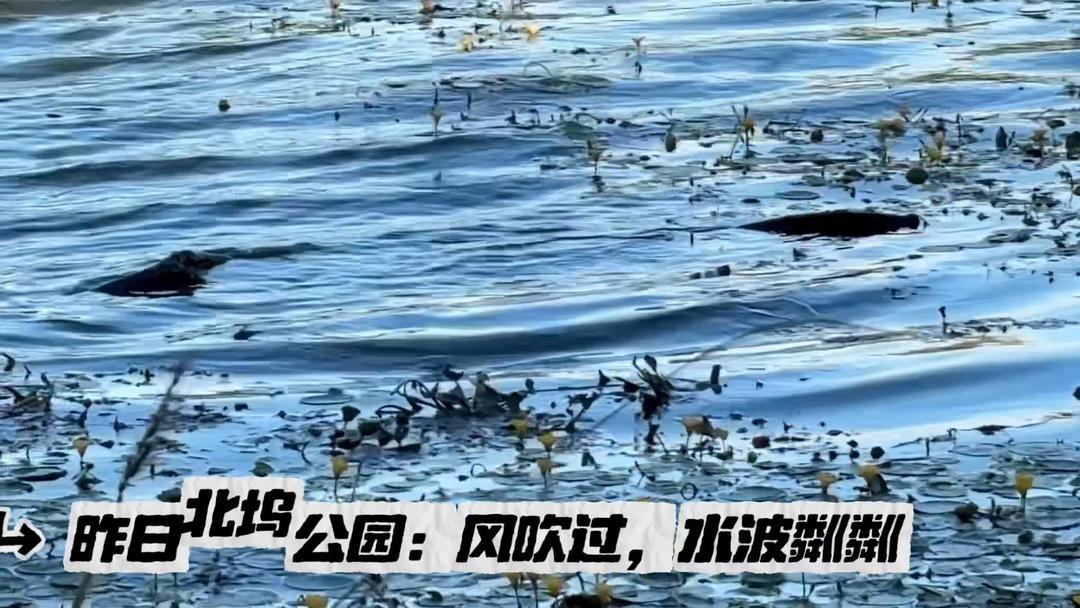 身边的美景