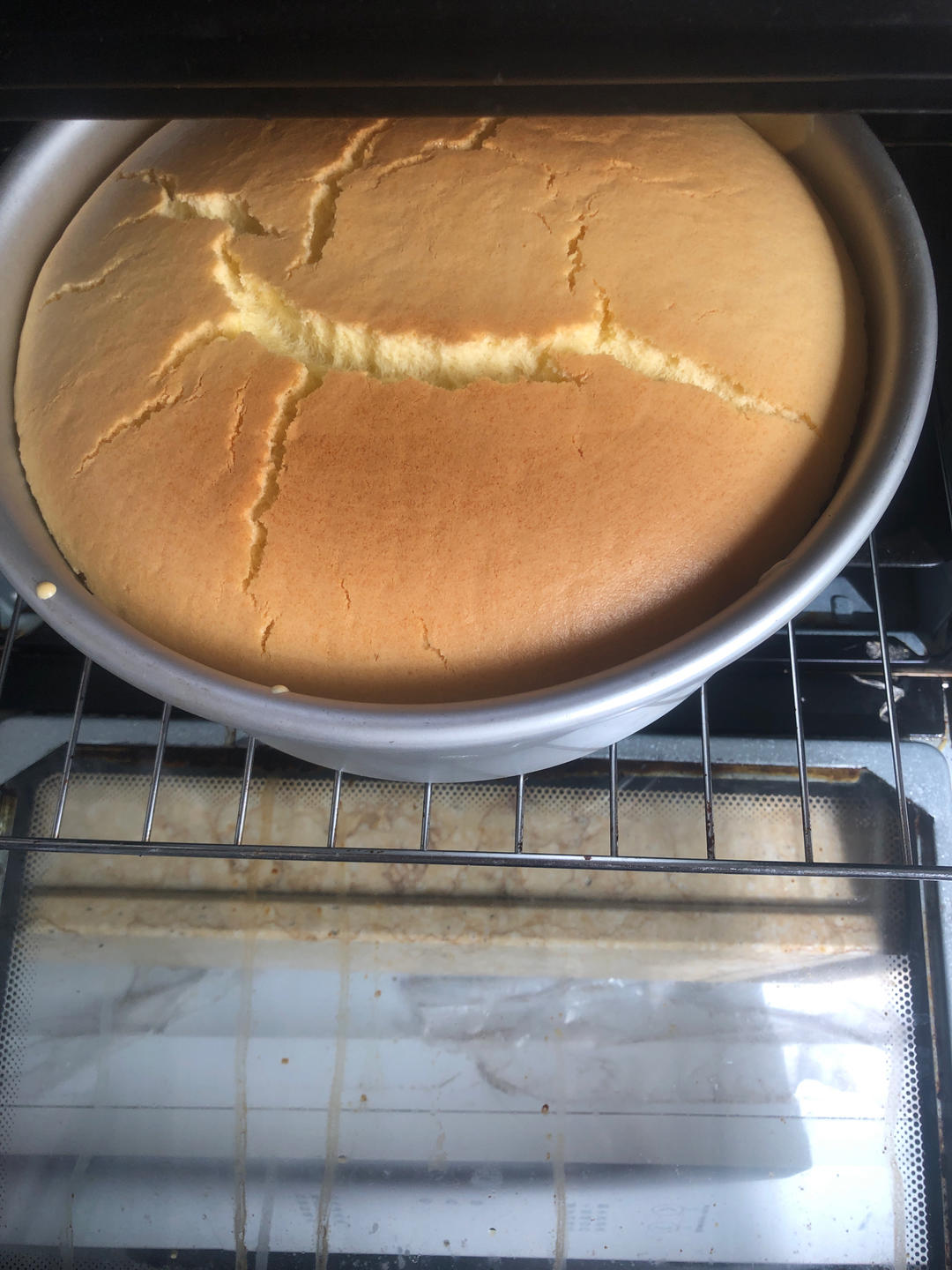 戚风蛋糕（八寸）