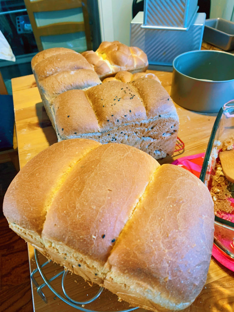 一整个蛋吐司（超好记的万能吐司配方）