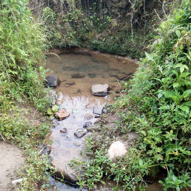 钱红钱学敏妙宝