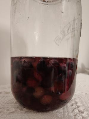 天然酵种·蓝莓酵液/酵种的做法 步骤2