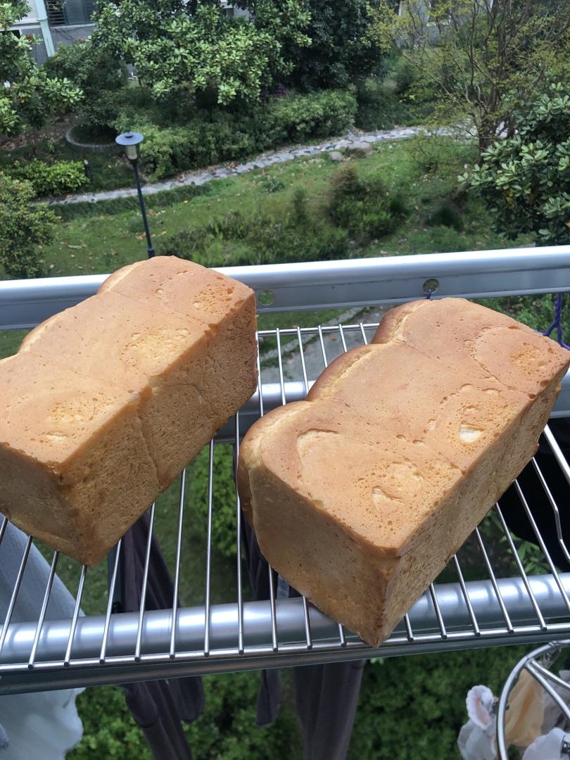 nippn 凯萨琳粉吐司